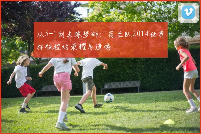 从5-1到点球梦碎：荷兰队2014世界杯征程的荣耀与遗憾