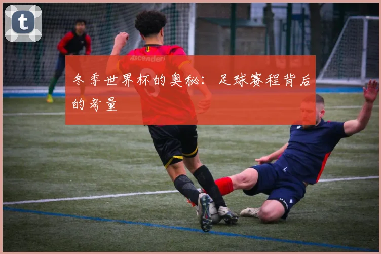 冬季世界杯的奥秘：足球赛程背后的考量